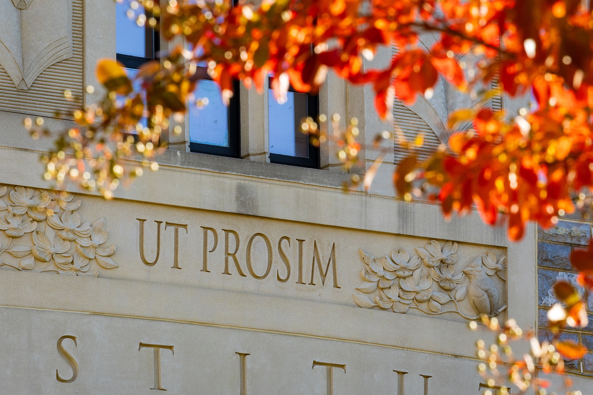 The words" Ut Prosim" engraved on the outside of an on-campus building with fall leaves in the foreground